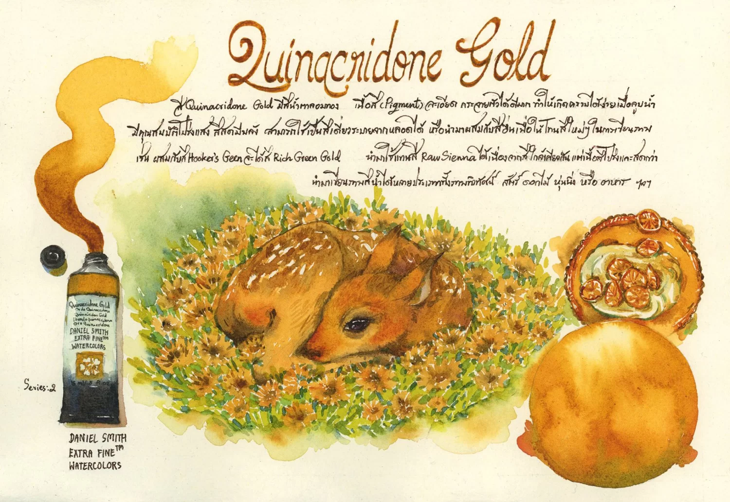 Daniel Smith Extra Fine Watercolor – Quinacridone Gold